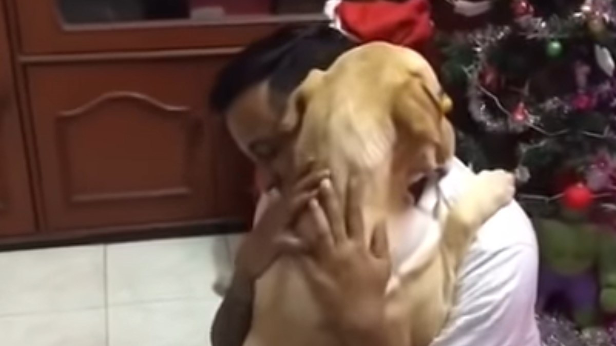 Nakon teške operacije ovom psu je bila potrebna samo jedna stvar